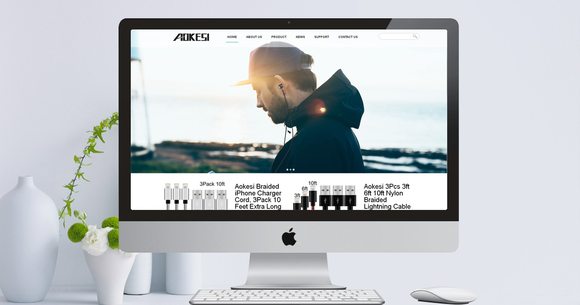 深圳營銷型網站案例